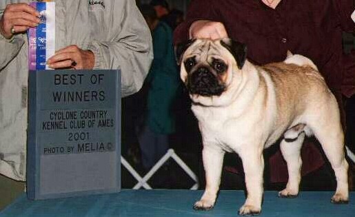 Best of Winners in Mason City, Iowa, 2001